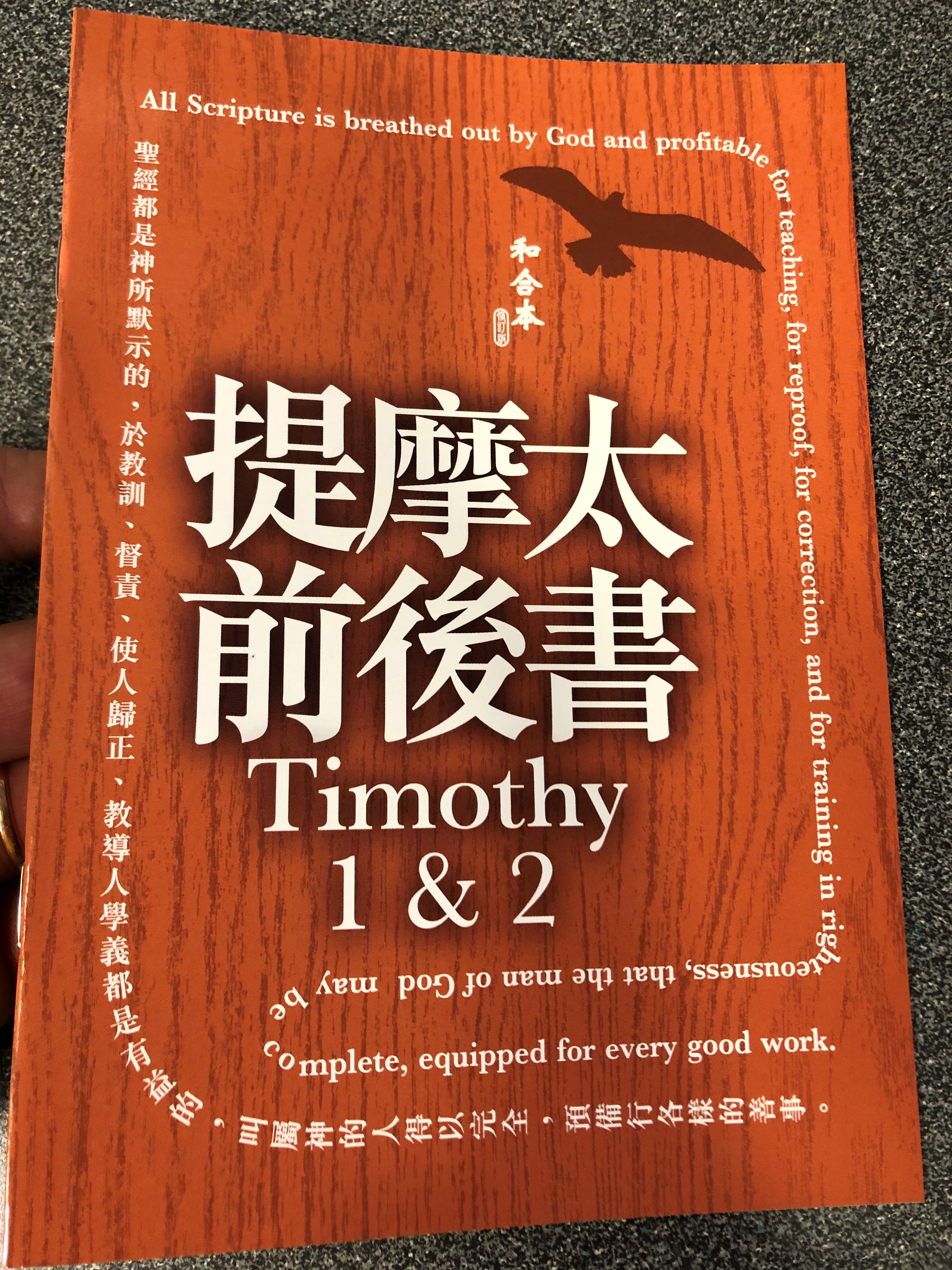 paul-s-1st-and-2nd-letter-to-timothy-in-chinese-language-super-large-print-edition-revised-chinese-union-version-cu2010-hkbs-1-.jpg