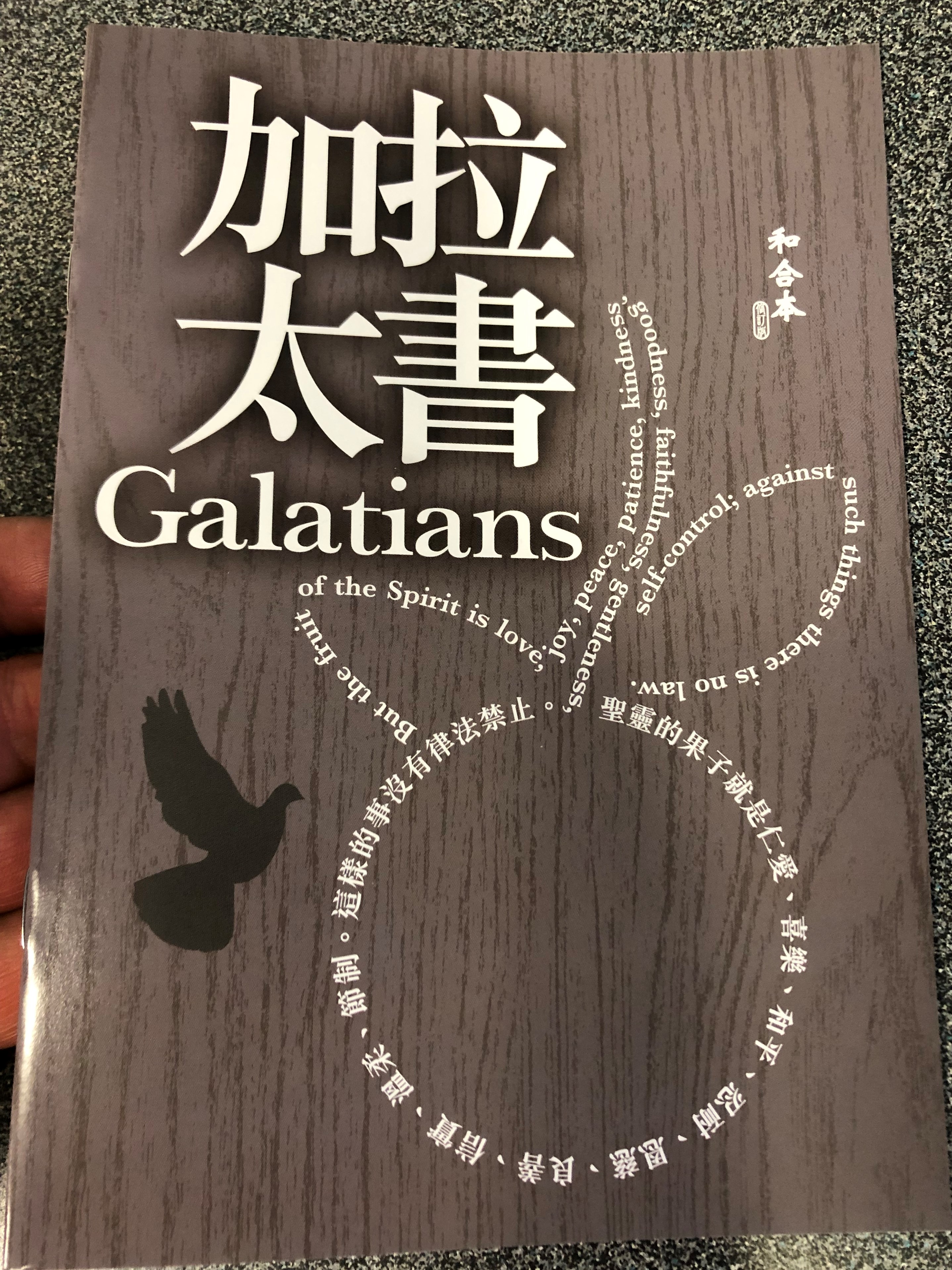 paul-s-letter-to-the-galatians-in-chinese-language-super-large-print-edition-revised-chinese-union-version-cu2010-hkbs-1-.jpg