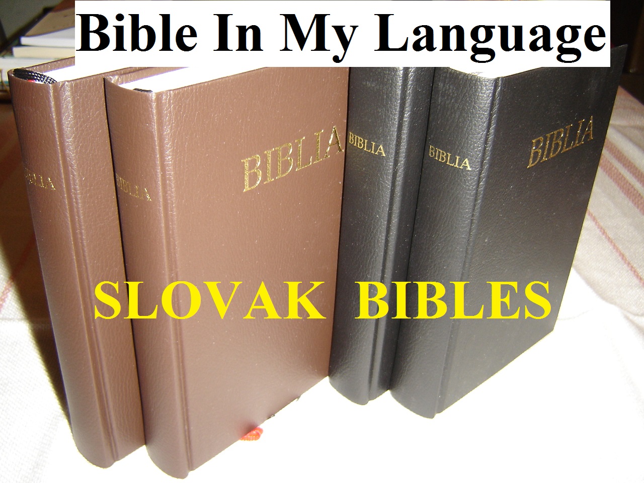 slovak bible bibleworks 10 slovak bible bibleworks 10