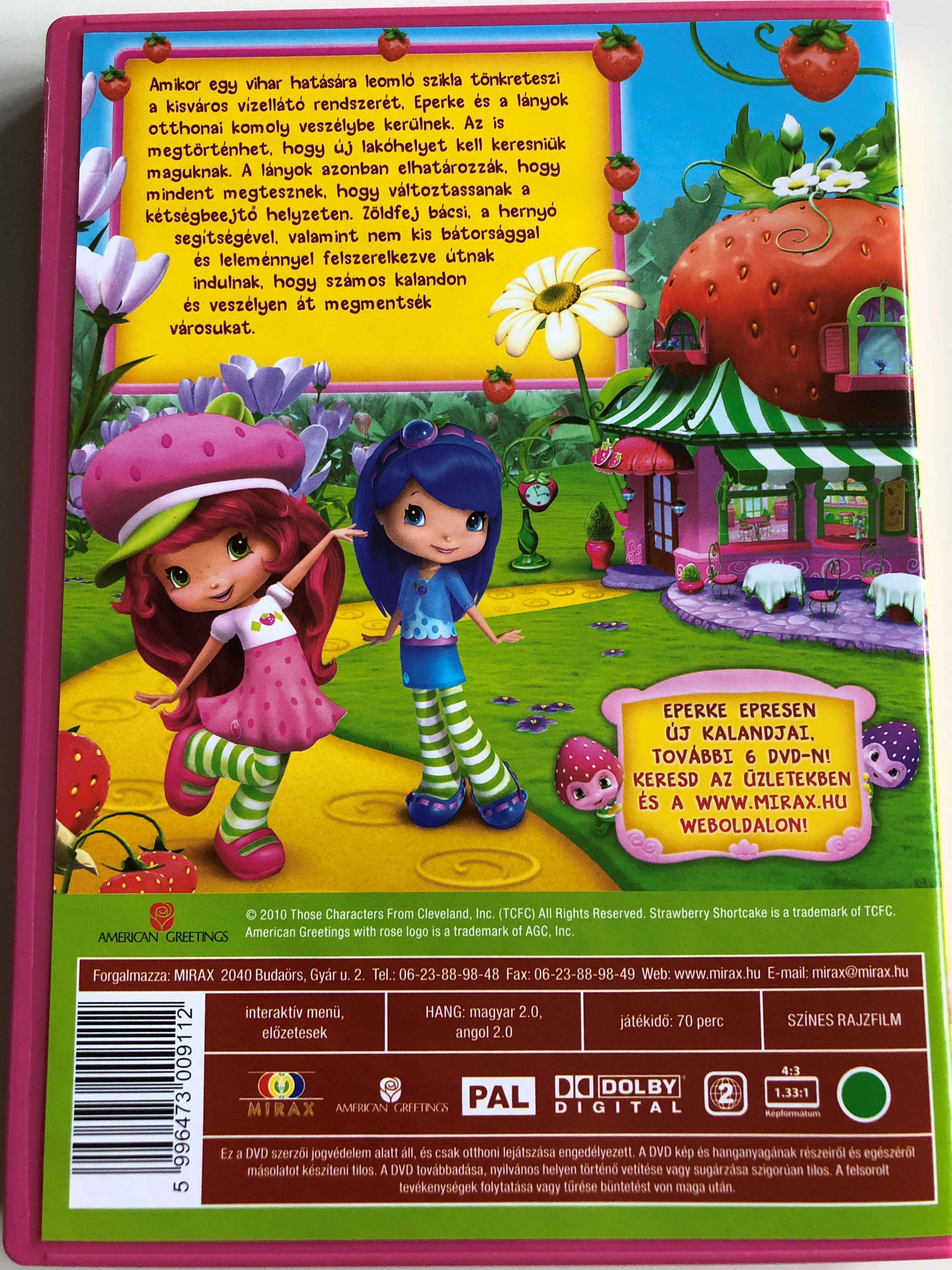 strawberry-shortcake-sky-s-the-limit-dvd-2009-eperke-a-mozifilm-hat-r-a-csillagos-g-directed-by-michael-hack-mucci-fassett-2-.jpg