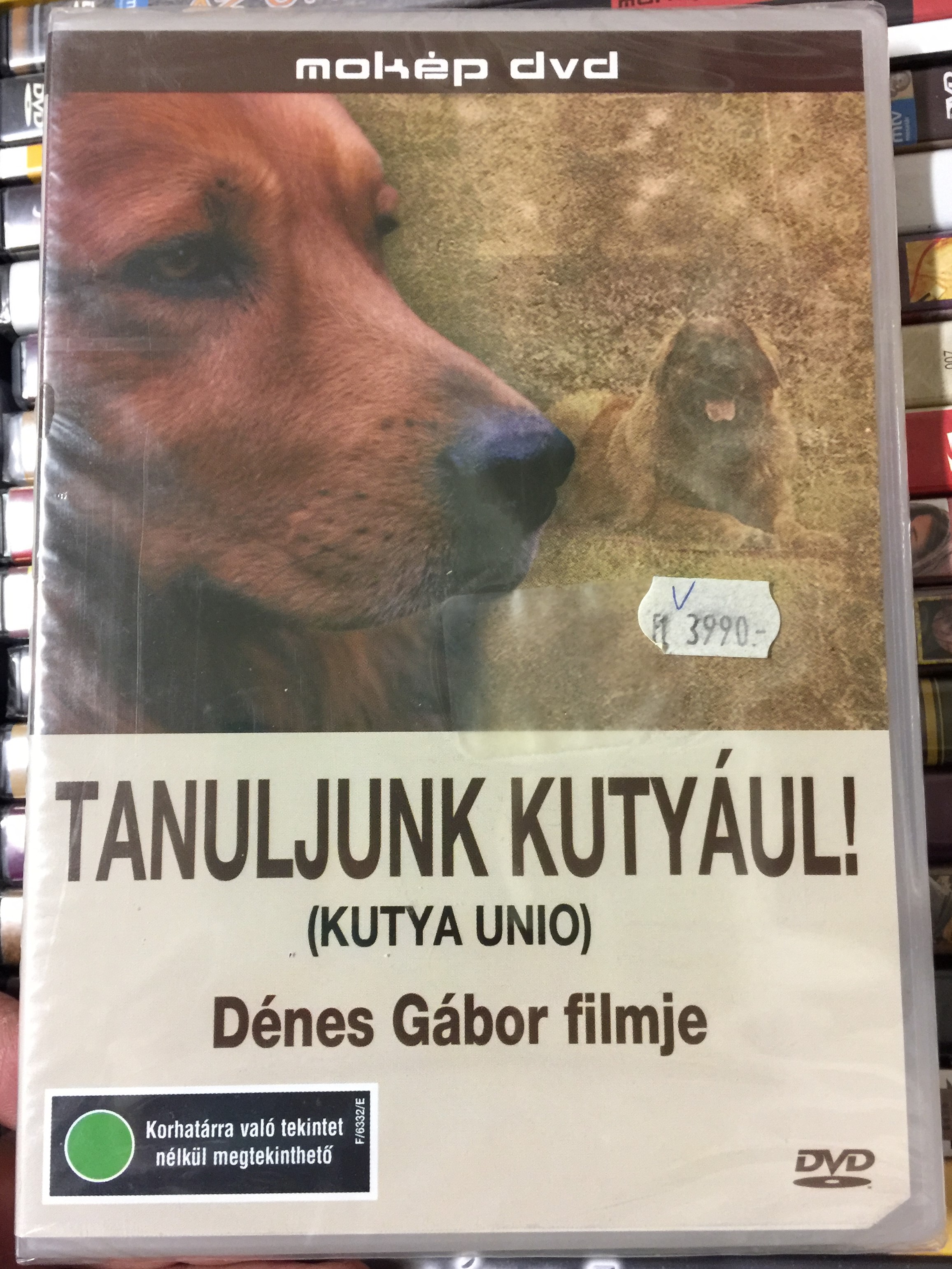 tanuljunk-kuty-ul-dvd-2006-kutya-unio-learn-dog-language-1.jpg