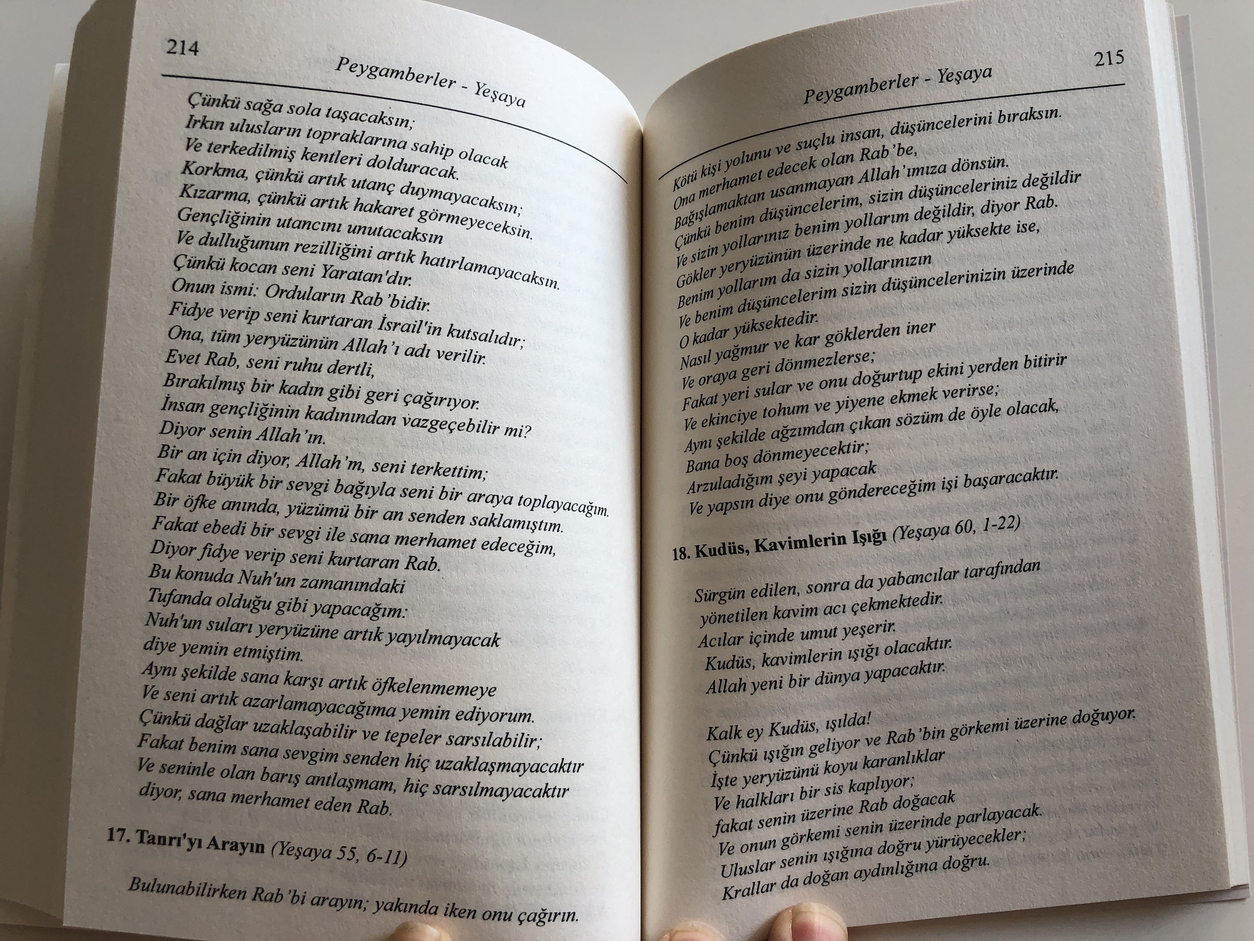 tevrat-turkish-bible-stories-translated-from-french-texts-by-dr.-jur-hakk-dem-rel-8-.jpg