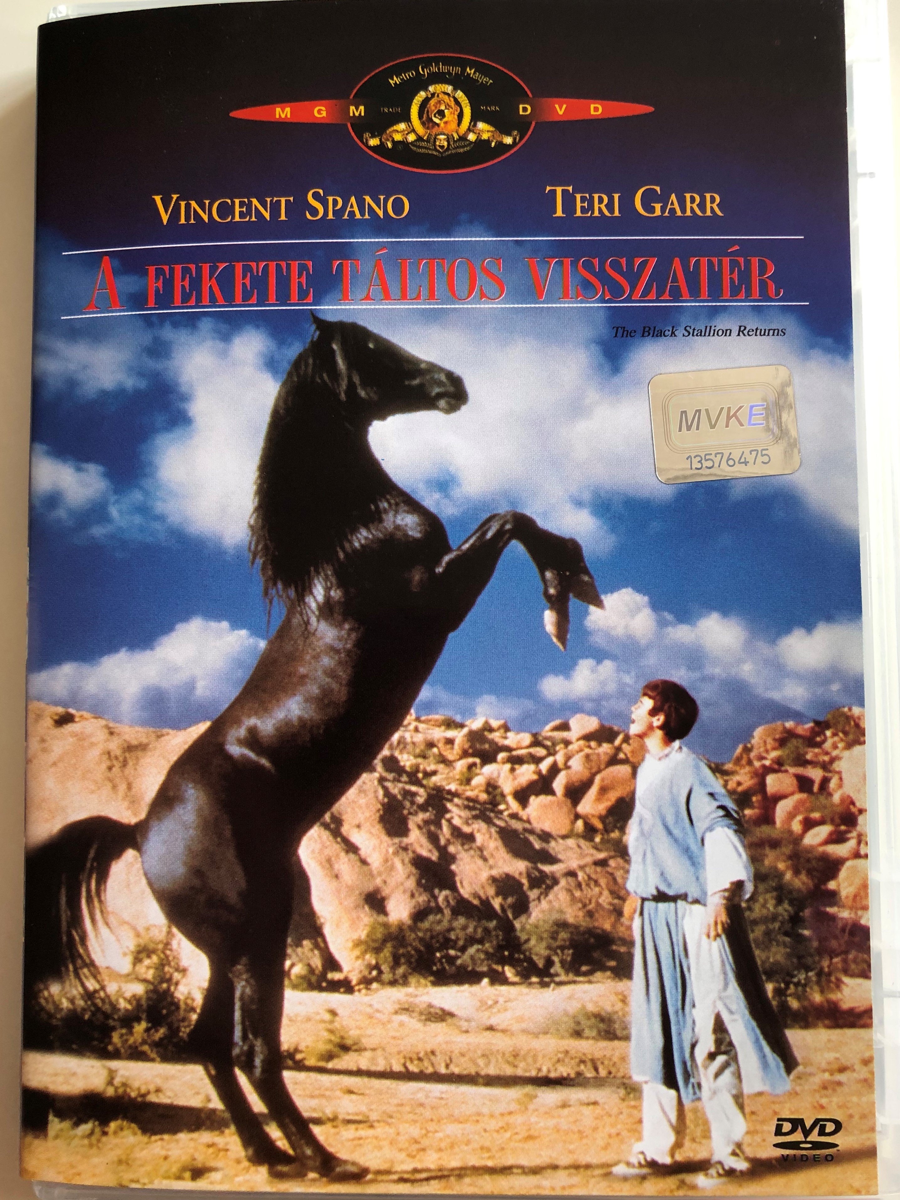 the-black-stallion-returns-dvd-1983-a-fekete-t-ltos-visszat-r-1.jpg
