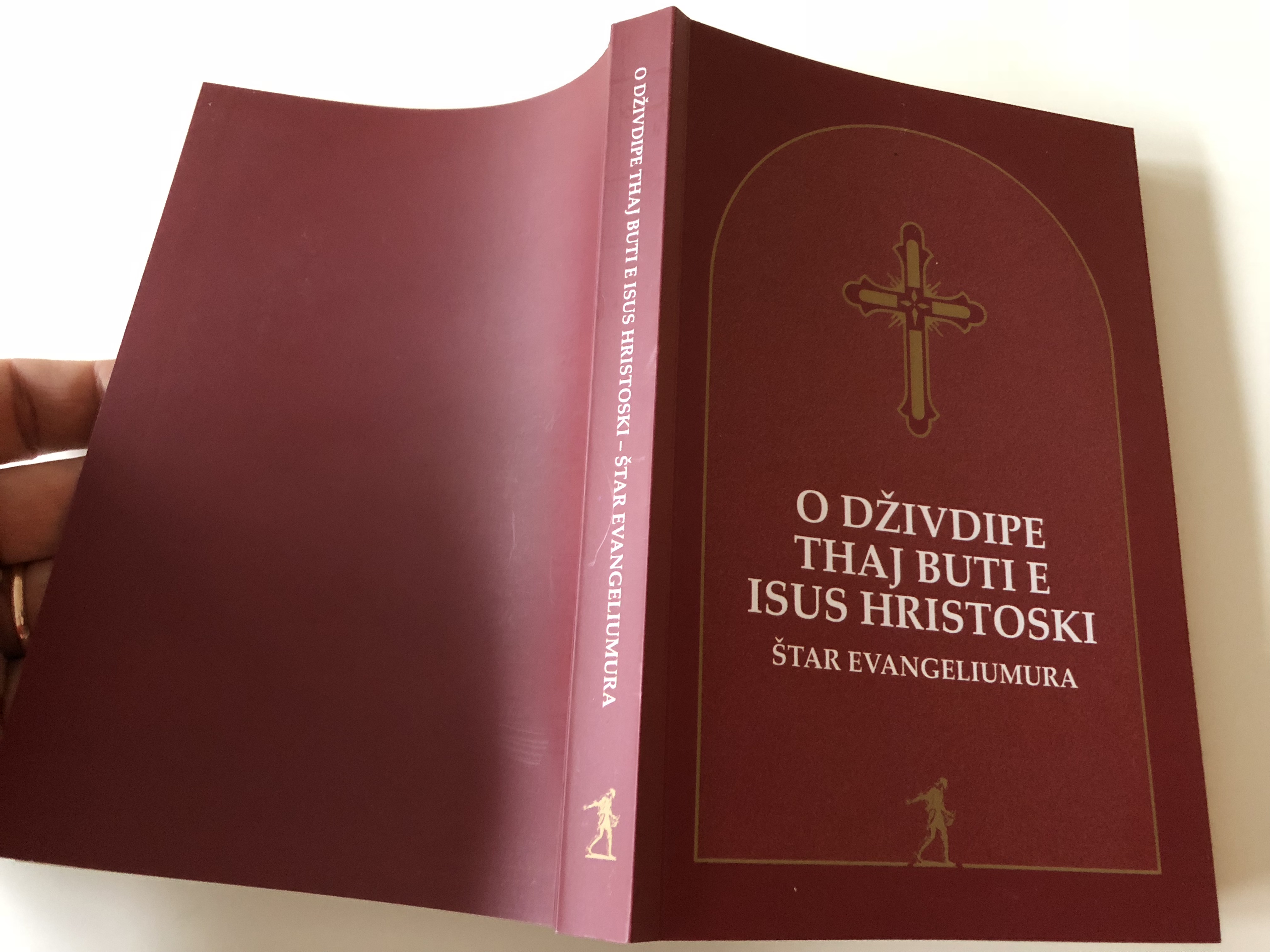 the-four-gospels-in-serbian-gypsy-language-14-.jpg