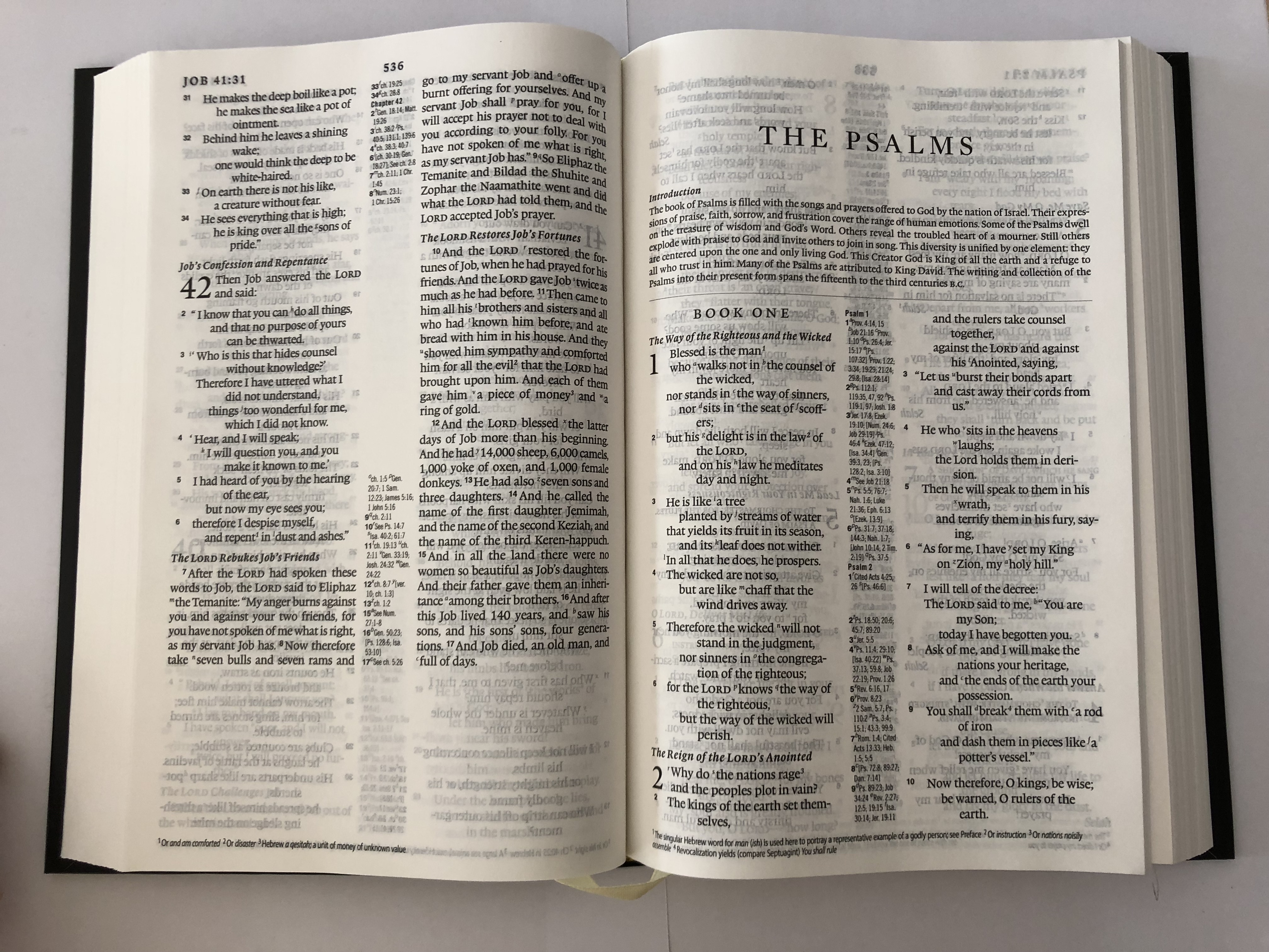 the-holy-bible-esv-english-standard-version-esv063plc-the-bible-societies-2017-hardback-8-.jpg