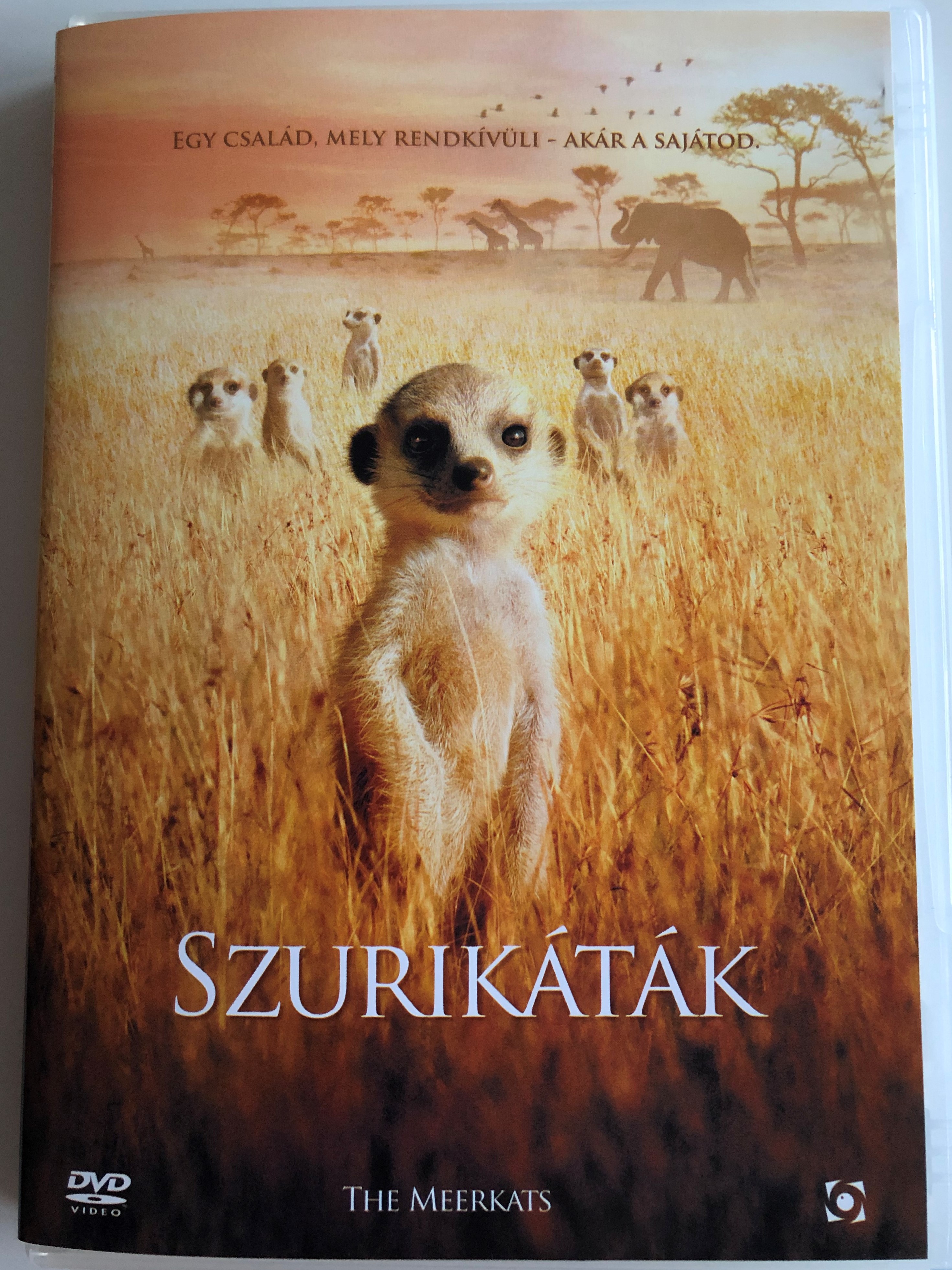 The Meerkats DVD 2008 Szurikáták / Directed by James Honeyborne / BBC  Natural History / British wildlife fiction film - bibleinmylanguage