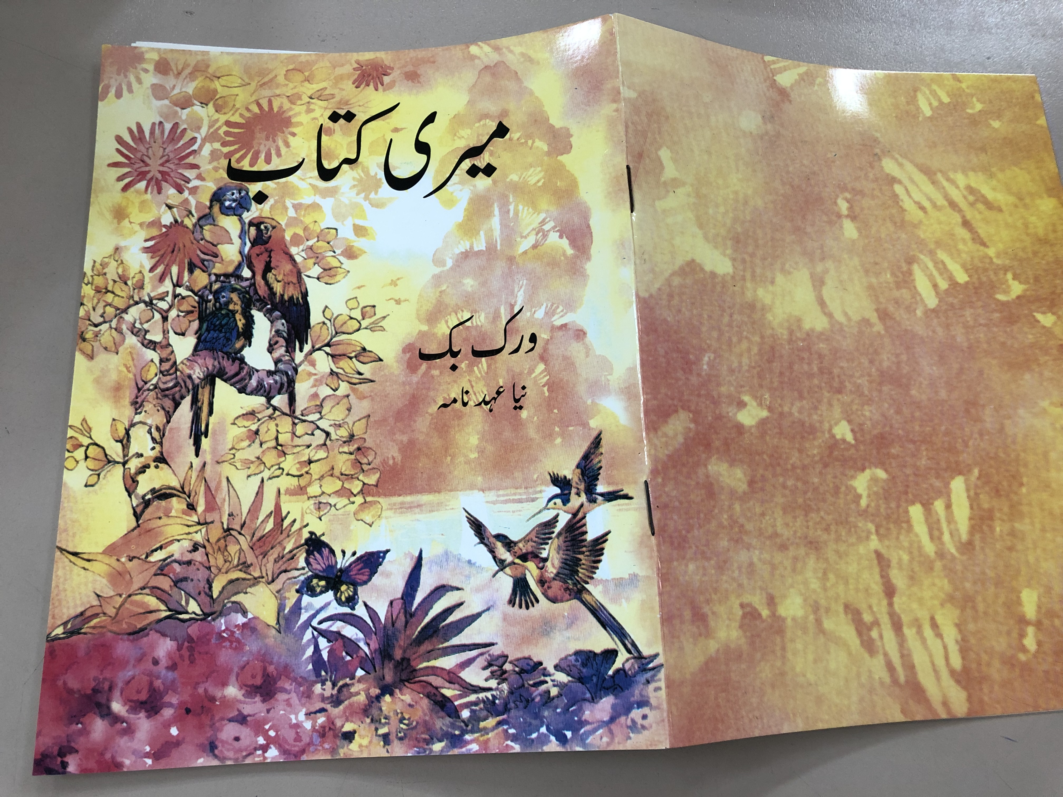 urdu-edition-of-the-children-s-bible-by-anne-de-vries-kleutervertelboek-voor-de-bijbelse-geschiedenis-paperback-2018-10-.jpg