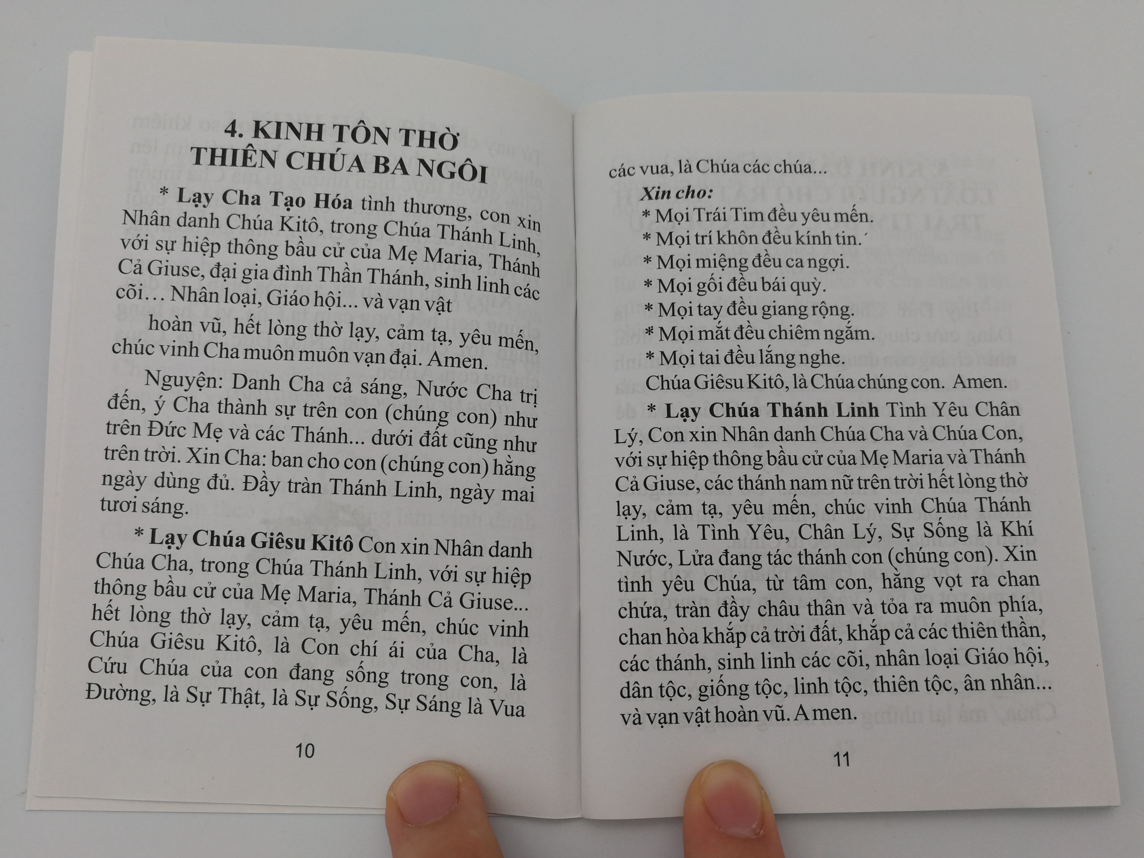 vietnamese-language-roman-catholic-prayer-book-daily-prayers-5.jpg