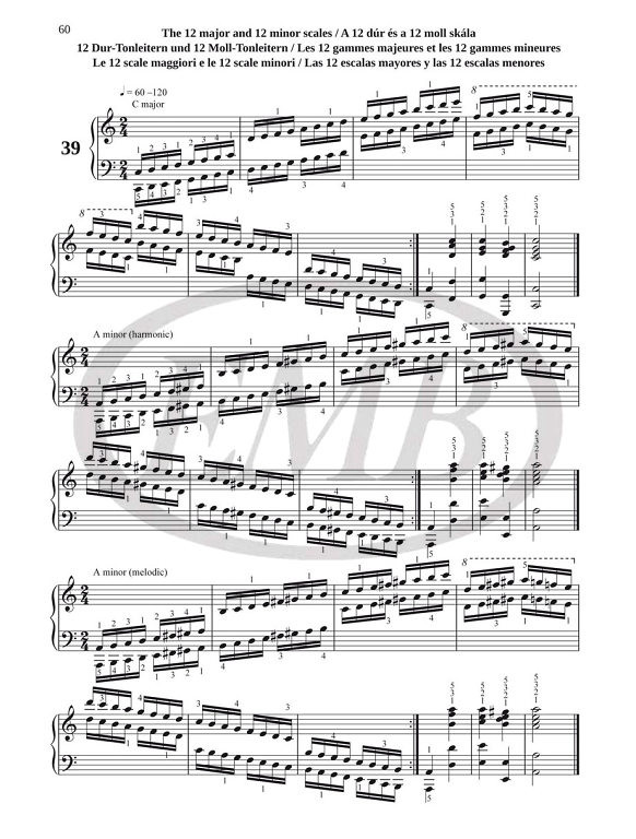 https://cdn10.bigcommerce.com/s-62bdpkt7pb/products/0/images/215065/Hanon_Charles-Louis_The_Virtuoso_Pianist_4__24057.1646488481.1280.1280.jpg?c=2&_gl=1*1qck76g*_ga*MTkxMjQ2MzkzMi4xNjQxMjk4MTY2*_ga_WS2VZYPC6G*MTY0NjQ4Nzc2MS4xMDAuMS4xNjQ2NDg4NDY0LjYw
