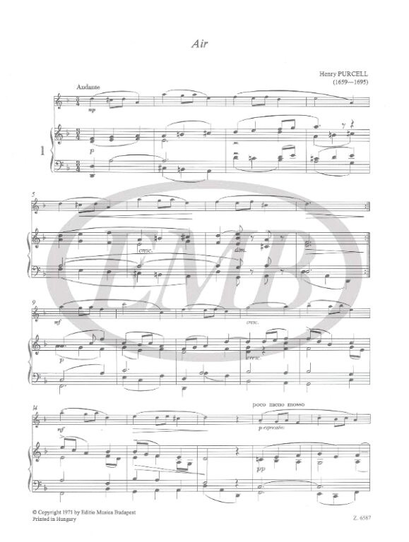 https://cdn10.bigcommerce.com/s-62bdpkt7pb/products/0/images/216243/Flute_Music_1_1__71137.1646998176.1280.1280.jpg?c=2&_gl=1*hdxybv*_ga*MTkxMjQ2MzkzMi4xNjQxMjk4MTY2*_ga_WS2VZYPC6G*MTY0Njk5NTcwMS4xMDQuMS4xNjQ2OTk4MTY4LjQ.