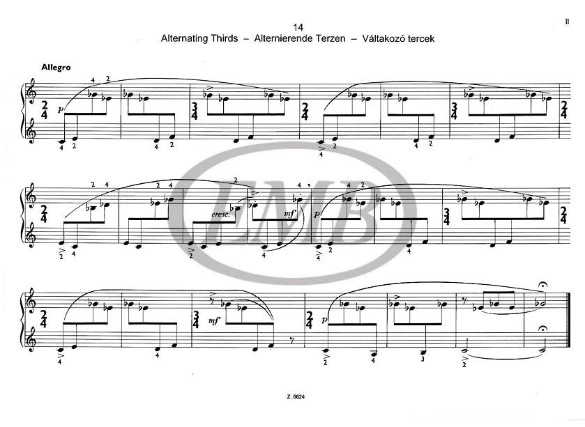 https://cdn10.bigcommerce.com/s-62bdpkt7pb/products/0/images/217001/Papp_Lajos_Starting_the_Piano_4__67298.1647544464.1280.1280.jpg?c=2&_gl=1*orbo6s*_ga*MTkxMjQ2MzkzMi4xNjQxMjk4MTY2*_ga_WS2VZYPC6G*MTY0NzU0MzYwNy4xMDkuMS4xNjQ3NTQ0NDQ0LjYw