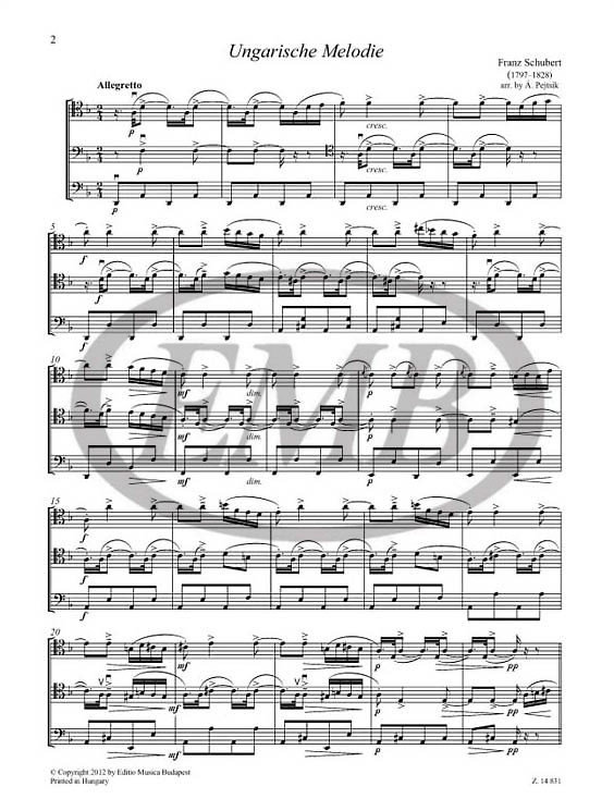 https://cdn10.bigcommerce.com/s-62bdpkt7pb/products/0/images/217144/Chamber_Music_for_Violoncellos_14_1__74333.1647606556.1280.1280.jpg?c=2&_gl=1*147ohdz*_ga*MTkxMjQ2MzkzMi4xNjQxMjk4MTY2*_ga_WS2VZYPC6G*MTY0NzU5OTE1Ni4xMTAuMS4xNjQ3NjA2NTUyLjYw