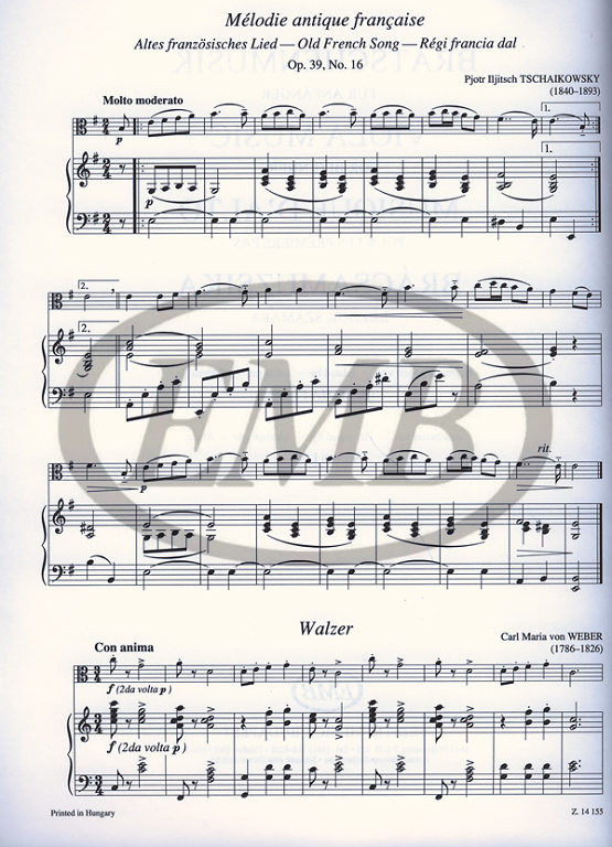 https://cdn10.bigcommerce.com/s-62bdpkt7pb/products/0/images/217624/Viola_Music_for_Beginners_2__88293.1647887211.1280.1280.jpg?c=2&_gl=1*osbah0*_ga*MTkxMjQ2MzkzMi4xNjQxMjk4MTY2*_ga_WS2VZYPC6G*MTY0Nzg4NDYyNy4xMTQuMS4xNjQ3ODg3MjAwLjYw