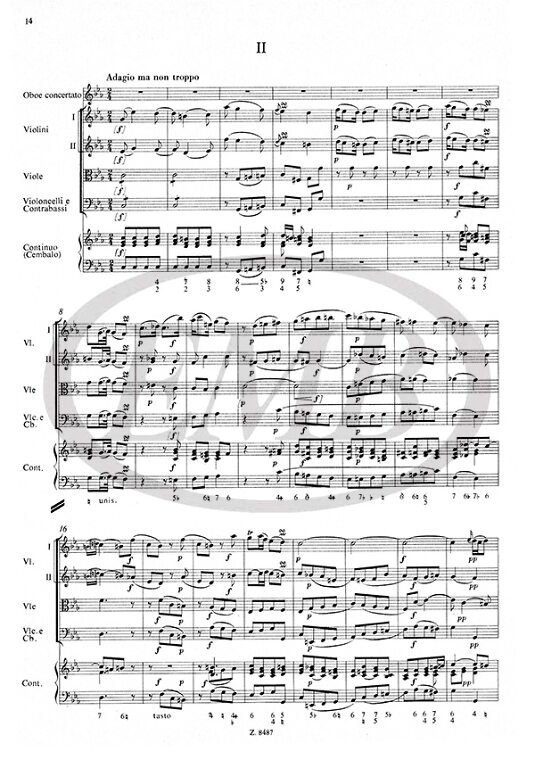 https://cdn10.bigcommerce.com/s-62bdpkt7pb/products/0/images/218028/Bach_Carl_Philipp_Emanuel_Concerto_in_mib_maggiore_3__50580.1647956752.1280.1280.jpg?c=2&_gl=1*15eggen*_ga*MTkxMjQ2MzkzMi4xNjQxMjk4MTY2*_ga_WS2VZYPC6G*MTY0Nzk1MDM4My4xMTguMS4xNjQ3OTU2NzQ1LjYw