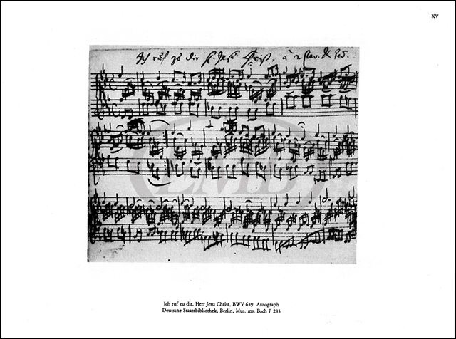 https://cdn10.bigcommerce.com/s-62bdpkt7pb/products/0/images/218791/Bach_Johann_Sebastian_Complete_Organ_Works_5_2__28762.1648467781.1280.1280.jpg?c=2&_gl=1*1qq8mhs*_ga*MTkxMjQ2MzkzMi4xNjQxMjk4MTY2*_ga_WS2VZYPC6G*MTY0ODQ2MTY4NC4xMjIuMS4xNjQ4NDY3NzY4LjYw