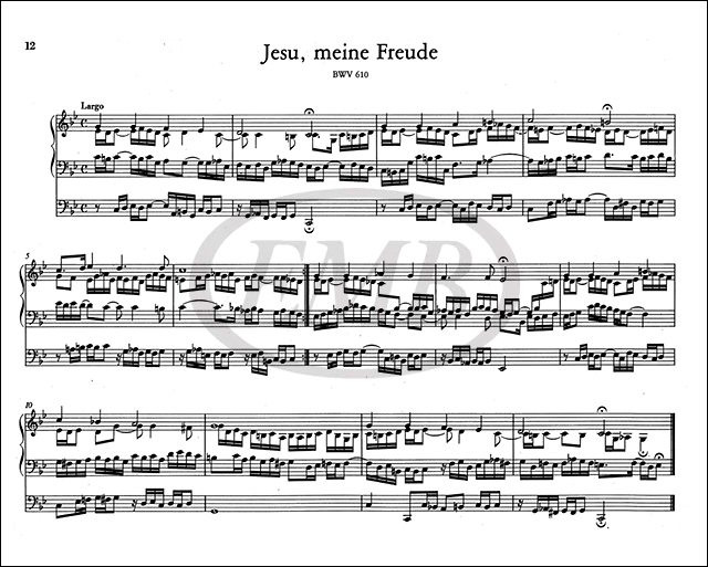 https://cdn10.bigcommerce.com/s-62bdpkt7pb/products/0/images/218792/Bach_Johann_Sebastian_Complete_Organ_Works_5_3__62844.1648467784.1280.1280.jpg?c=2&_gl=1*1qq8mhs*_ga*MTkxMjQ2MzkzMi4xNjQxMjk4MTY2*_ga_WS2VZYPC6G*MTY0ODQ2MTY4NC4xMjIuMS4xNjQ4NDY3NzY4LjYw