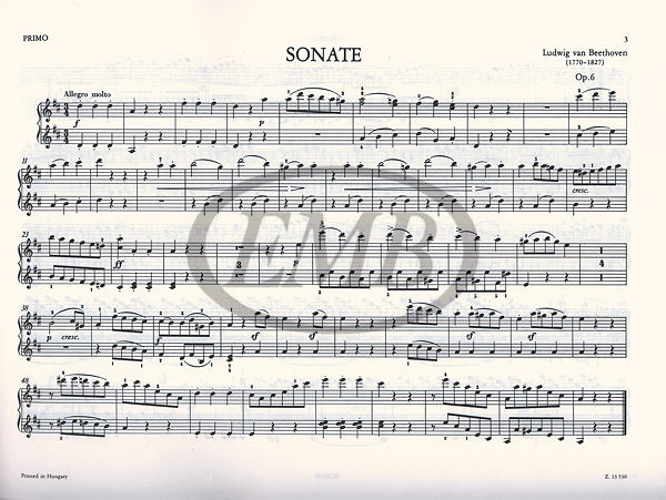 https://cdn10.bigcommerce.com/s-62bdpkt7pb/products/0/images/221675/Beethoven_Ludwig_van_Pieces_for_Piano_Duet_2__47221.1649845145.1280.1280.jpg?c=2&_gl=1*q8ispq*_ga*MTkxMjQ2MzkzMi4xNjQxMjk4MTY2*_ga_WS2VZYPC6G*MTY0OTgyOTg1Ny4xMzMuMS4xNjQ5ODQ1MTM3LjYw