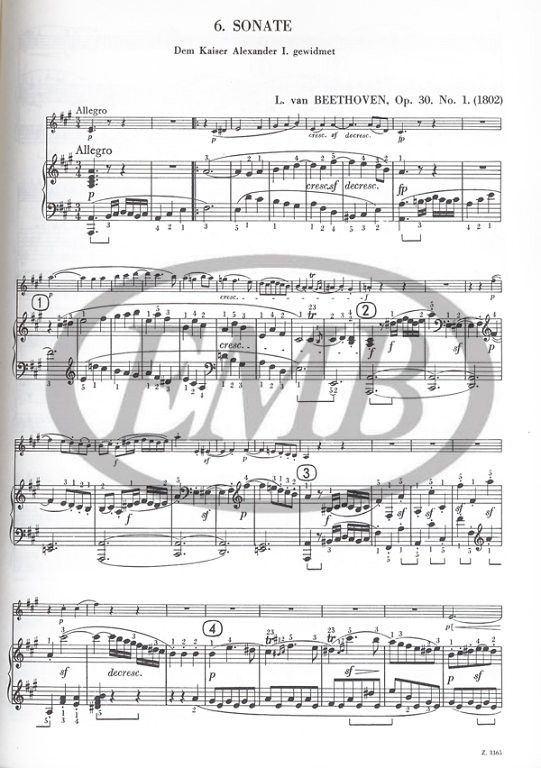 https://cdn10.bigcommerce.com/s-62bdpkt7pb/products/0/images/221686/Beethoven_Ludwig_van_Sonatas_2_2__00031.1649845783.1280.1280.jpg?c=2&_gl=1*1xx2ksd*_ga*MTkxMjQ2MzkzMi4xNjQxMjk4MTY2*_ga_WS2VZYPC6G*MTY0OTgyOTg1Ny4xMzMuMS4xNjQ5ODQ1NzcyLjYw