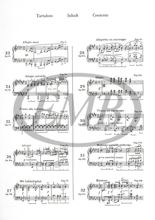 https://cdn10.bigcommerce.com/s-62bdpkt7pb/products/0/images/221698/Beethoven_Ludwig_van_Sonatas_for_piano_3_1__05749.1649846694.1280.1280.jpg?c=2&_gl=1*1w91f05*_ga*MTkxMjQ2MzkzMi4xNjQxMjk4MTY2*_ga_WS2VZYPC6G*MTY0OTgyOTg1Ny4xMzMuMS4xNjQ5ODQ2Njg1LjYw