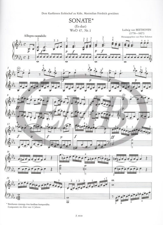 https://cdn10.bigcommerce.com/s-62bdpkt7pb/products/0/images/221736/Beethoven_Ludwig_van_Sonatinas_2__78049.1649849361.1280.1280.jpg?c=2&_gl=1*ytqmiy*_ga*MTkxMjQ2MzkzMi4xNjQxMjk4MTY2*_ga_WS2VZYPC6G*MTY0OTgyOTg1Ny4xMzMuMS4xNjQ5ODQ5MzU1LjYw