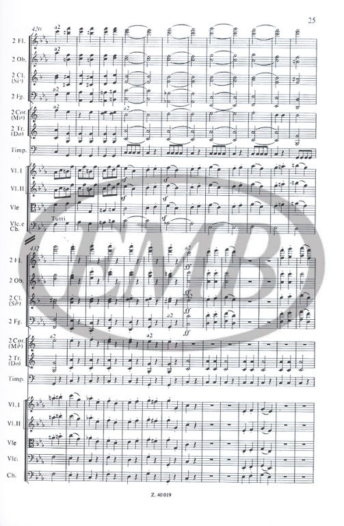 https://cdn10.bigcommerce.com/s-62bdpkt7pb/products/0/images/221752/Beethoven_Ludwig_van_Symphony_No._5_in_C_minor_2__35530.1649850488.1280.1280.jpg?c=2&_gl=1*1ho4s40*_ga*MTkxMjQ2MzkzMi4xNjQxMjk4MTY2*_ga_WS2VZYPC6G*MTY0OTgyOTg1Ny4xMzMuMS4xNjQ5ODUwNDg0LjYw