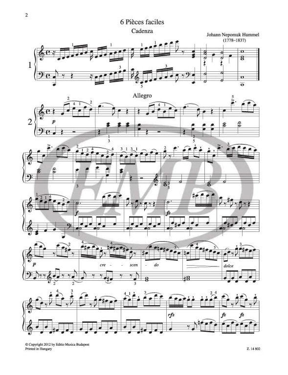https://cdn10.bigcommerce.com/s-62bdpkt7pb/products/0/images/224877/Hummel_Johann_Nepomuk_Easy_Piano_Pieces_1__30705.1650980346.1280.1280.jpg?c=2&_gl=1*1l5diyc*_ga*MTkxMjQ2MzkzMi4xNjQxMjk4MTY2*_ga_WS2VZYPC6G*MTY1MDk3OTc0OS4xNTMuMS4xNjUwOTgwMzQzLjYw