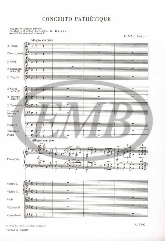 https://cdn10.bigcommerce.com/s-62bdpkt7pb/products/0/images/225718/Liszt_Ferenc_Concerto_Pathtique_1__39964.1651177509.1280.1280.jpg?c=2&_gl=1*ls5pwl*_ga*MTkxMjQ2MzkzMi4xNjQxMjk4MTY2*_ga_WS2VZYPC6G*MTY1MTE3NjQyMC4xNjIuMS4xNjUxMTc3MzQzLjU0