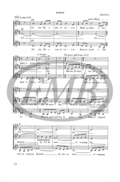https://cdn10.bigcommerce.com/s-62bdpkt7pb/products/0/images/232099/Sznyi_Erzsbet_Musical_Reading_and_Writing_8_2__99733.1654446841.1280.1280.jpg?c=2&_gl=1*172azmt*_ga*MTkxMjQ2MzkzMi4xNjQxMjk4MTY2*_ga_WS2VZYPC6G*MTY1NDQzMjkyOC4xOTYuMS4xNjU0NDQ2ODM3LjYw
