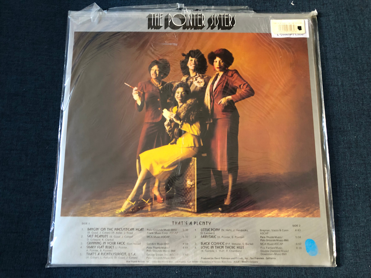 https://cdn10.bigcommerce.com/s-62bdpkt7pb/products/0/images/243348/The_Pointer_Sisters_Thats_A_Plenty_Blue_Thumb_Records_LP_BTS_6009_2__08398.1658980628.1280.1280.JPG?c=2&_gl=1*2xl2tx*_ga*MjA2NTIxMjE2MC4xNTkwNTEyNTMy*_ga_WS2VZYPC6G*MTY1ODk3NjgyMi41MDIuMS4xNjU4OTgwNDI2LjQ1