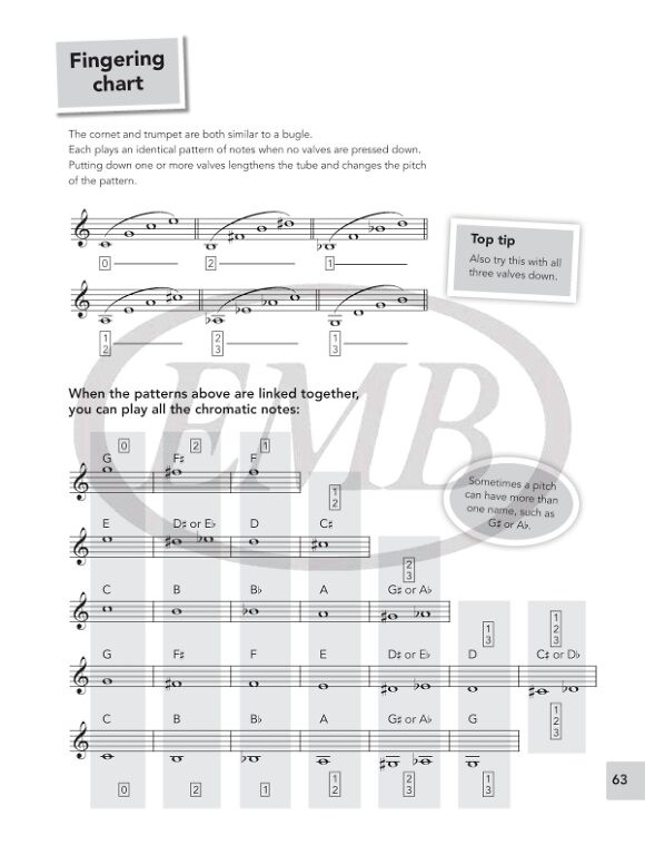 https://cdn10.bigcommerce.com/s-62bdpkt7pb/products/0/images/252123/Miller_John_Trumpet_Basics_pupils_book_3__03229.1661596513.1280.1280.jpg?c=2&_gl=1*iujhev*_ga*MTkxMjQ2MzkzMi4xNjQxMjk4MTY2*_ga_WS2VZYPC6G*MTY2MTU5MTU3Ny4zMjkuMS4xNjYxNTk2NTAxLjYwLjAuMA..