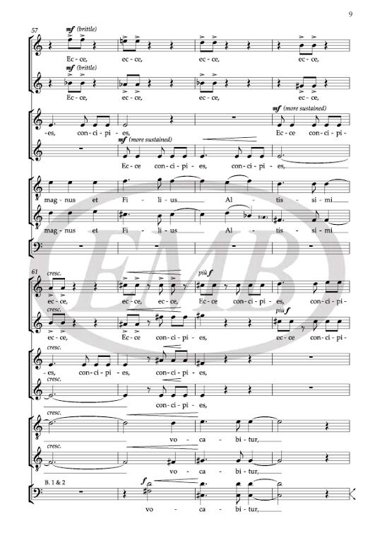 https://cdn10.bigcommerce.com/s-62bdpkt7pb/products/0/images/252406/WT_Scale_Studies_violin_3__46468.1661669613.1280.1280.jpg?c=2&_gl=1*1tddha2*_ga*MTkxMjQ2MzkzMi4xNjQxMjk4MTY2*_ga_WS2VZYPC6G*MTY2MTY2MjkxNS4zMzEuMS4xNjYxNjY5NTQ2LjYwLjAuMA..