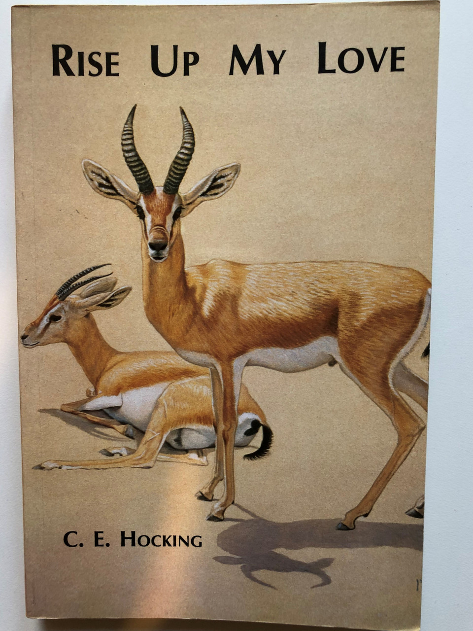 https://cdn10.bigcommerce.com/s-62bdpkt7pb/products/0/images/263233/1_Rise_Up_My_Love_Hardcover_Author_C.E._Hocking_1871642000_1__94566.1673075426.1280.1280.JPG?c=2&_gl=1*vz48i5*_ga*MjAyOTE0ODY1OS4xNTkyNDY2ODc5*_ga_WS2VZYPC6G*MTY3MzA2NzgxNS4yNjA0LjEuMTY3MzA3NTQyMi42MC4wLjA.