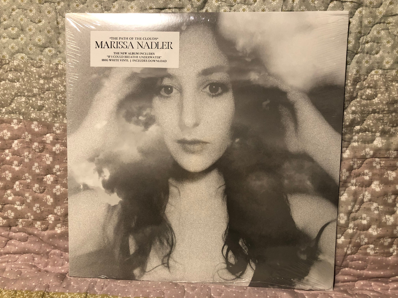 https://cdn10.bigcommerce.com/s-62bdpkt7pb/products/0/images/265893/Marissa_Nadler_The_Path_Of_The_Clouds_The_New_Album_Includes_If_I_Could_Breathe_Underwater_180G_White_Vinyl_Includes_Download_Bella_Union_LP_2021_BELLA1271V_1__34987.1675921033.1280.1280.JPG?c=2&_gl=1*g7xrps*_ga*MjA2NTIxMjE2MC4xNTkwNTEyNTMy*_ga_WS2VZYPC6G*MTY3NTkxOTcwNy43NTMuMS4xNjc1OTIwODUzLjI3LjAuMA..