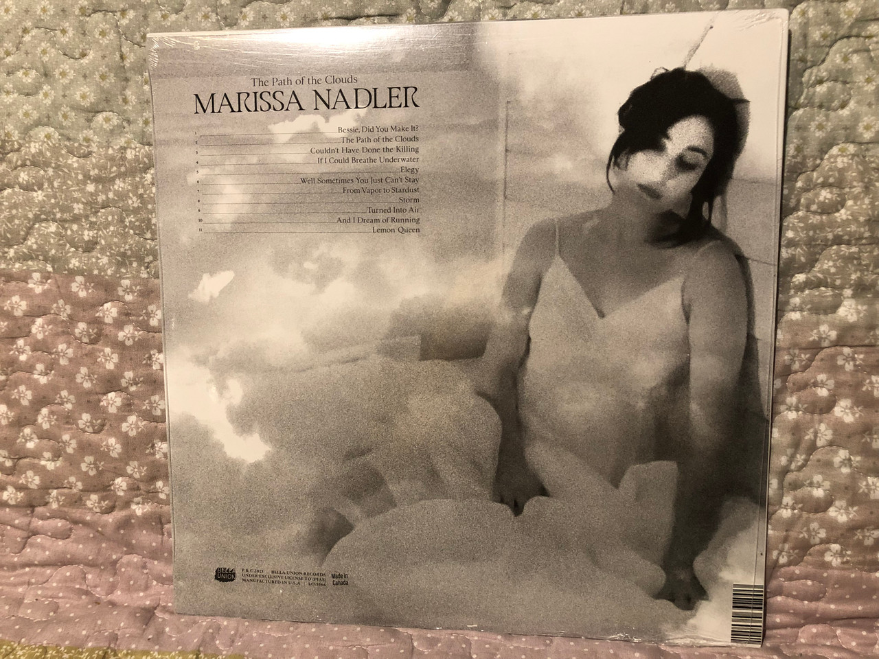https://cdn10.bigcommerce.com/s-62bdpkt7pb/products/0/images/265894/Marissa_Nadler_The_Path_Of_The_Clouds_The_New_Album_Includes_If_I_Could_Breathe_Underwater_180G_White_Vinyl_Includes_Download_Bella_Union_LP_2021_BELLA1271V_2__77589.1675921046.1280.1280.JPG?c=2&_gl=1*g7xrps*_ga*MjA2NTIxMjE2MC4xNTkwNTEyNTMy*_ga_WS2VZYPC6G*MTY3NTkxOTcwNy43NTMuMS4xNjc1OTIwODUzLjI3LjAuMA..