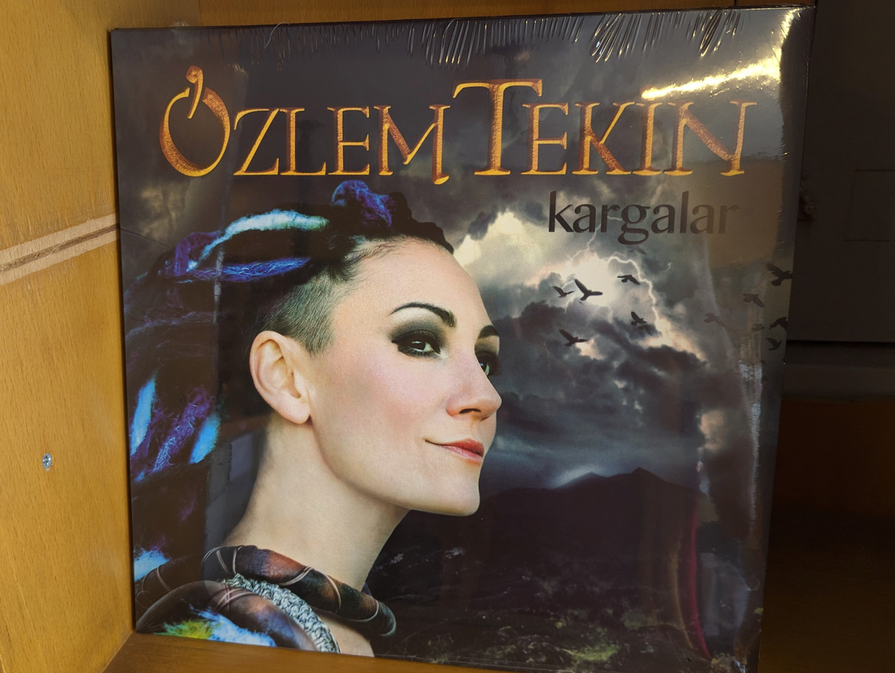 https://cdn10.bigcommerce.com/s-62bdpkt7pb/products/0/images/276440/zlem_Tekin_Kargalar_Ate_Mzik_LP_2023_1__71778.1686565349.1280.1280.jpg?c=2&_gl=1*udihdu*_ga*MjA2NTIxMjE2MC4xNTkwNTEyNTMy*_ga_WS2VZYPC6G*MTY4NjU0OTU5MC45MzcuMS4xNjg2NTY1MjU5LjM0LjAuMA..