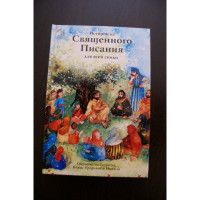 Eastern Russian Language Stories From the Holy Scriptures for the Whole Family Illustrated Children's Bible