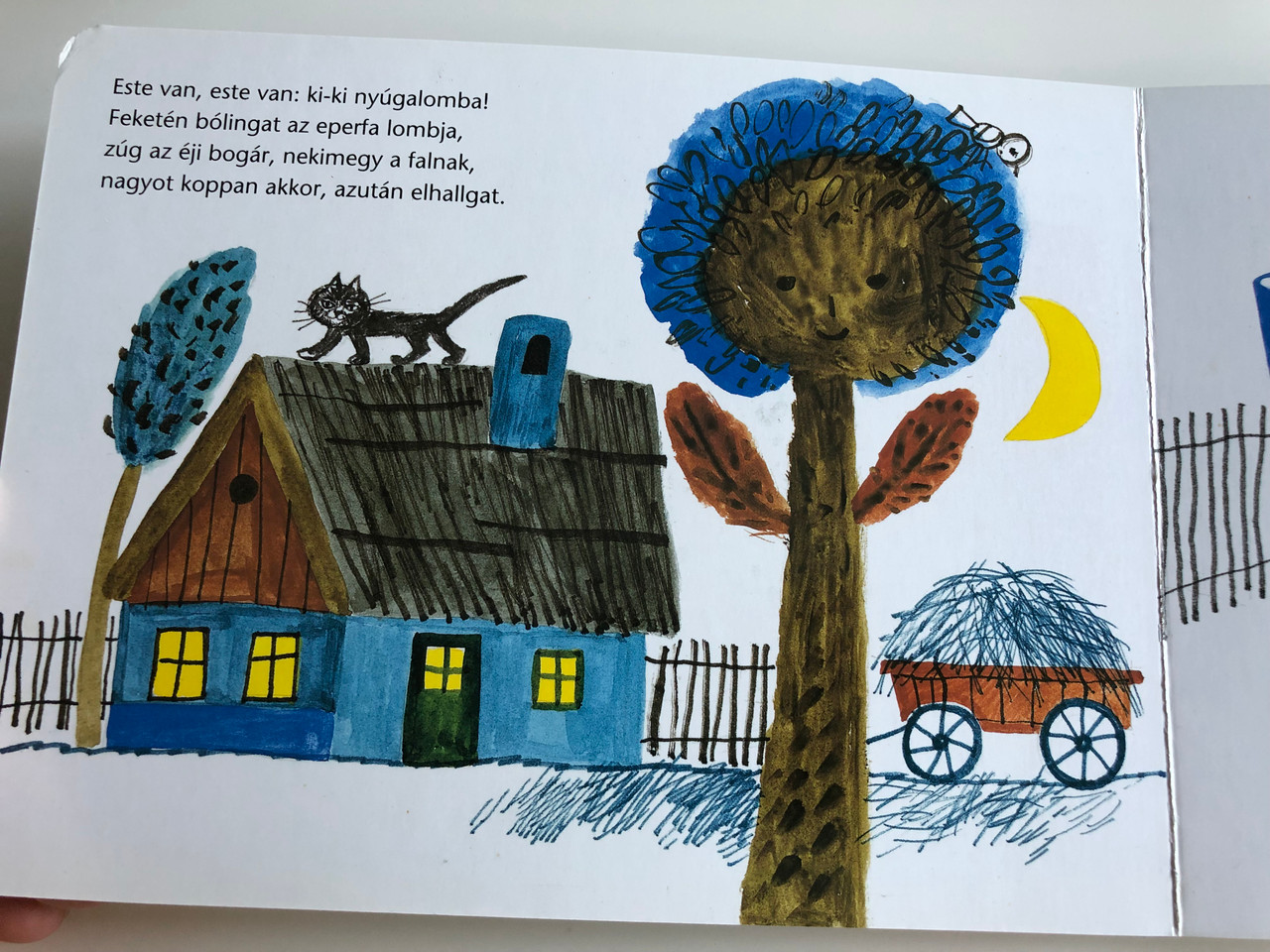 Szohalaszo By Duba Gabor Faltisz Alexandra Rajzaival Hungarian Language Children S Wordplay Board Book Mora Konyvkiado 2012 Bibleinmylanguage