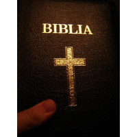 Genuine Leather Romanian Bible / Zipper / Thumb Index / Golden Edges / Large