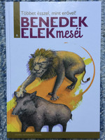 Többet ésszel, mint erővel! / Benedek Elek meséi 8. / Illustrations by Varga Noémi / Hungarian Folk tales by Benedek Elek / Hardcover / Duna International (9789633540381)