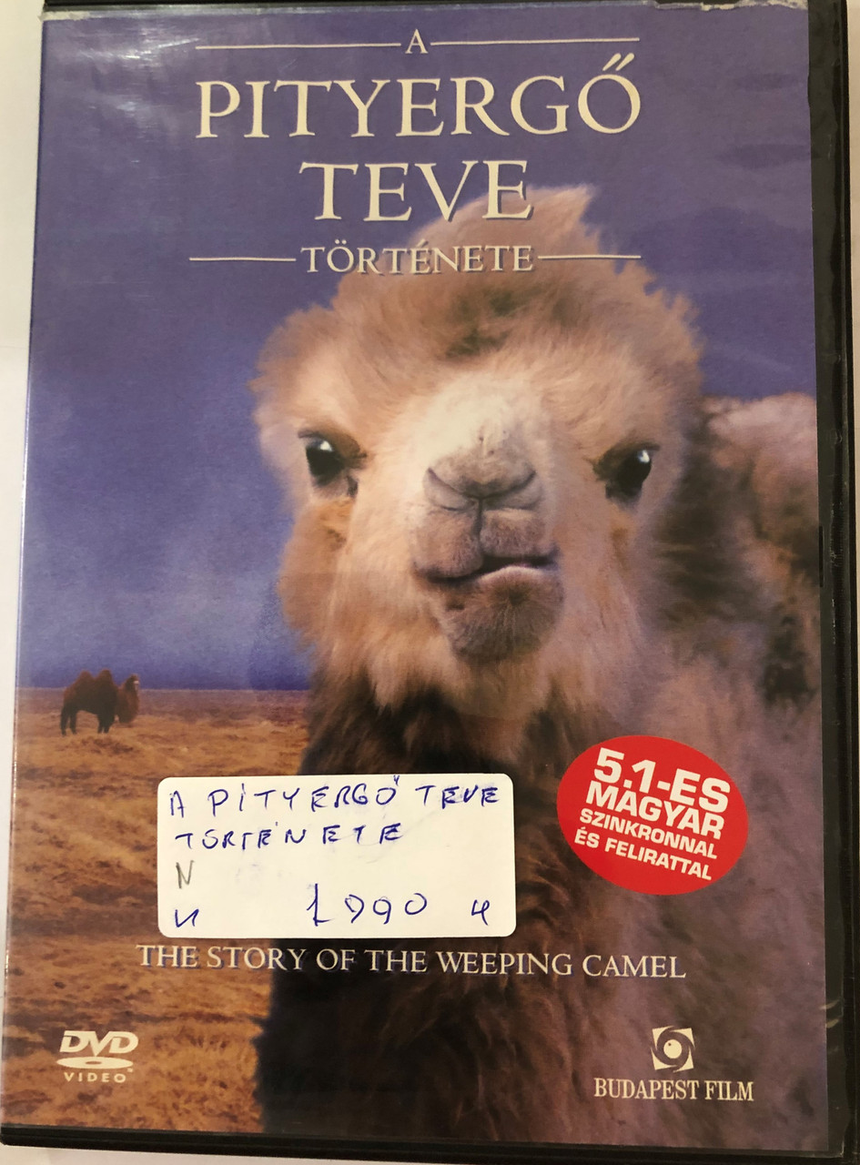 The Story of the Weeping Camel DVD A Pityergő Teve története / Directed by  Luigi Falorni / Starring: Janchiv Ayurzana, Chimed Ohin, Amgaabazar Gonson,  Zeveljamz Nyam - Bible in My Language