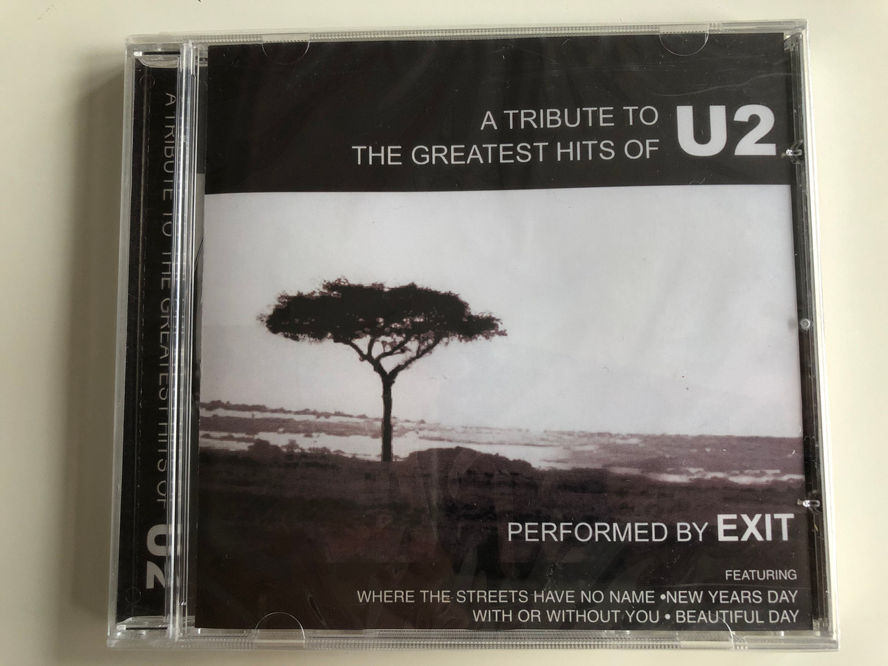 A Tribute To The Greatest Hits Of U2 Perfordmed By Exit Featuring Where The Streets Have