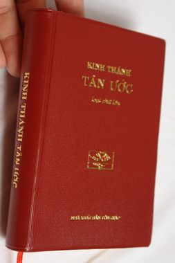  Mid Size Vietnamese New Testament / Kinh Thánh - tân ước / Brown-Vinyl Bound / NHÀ XUẤT BẢN TÔN GIÁO 2017 (9786046146186)