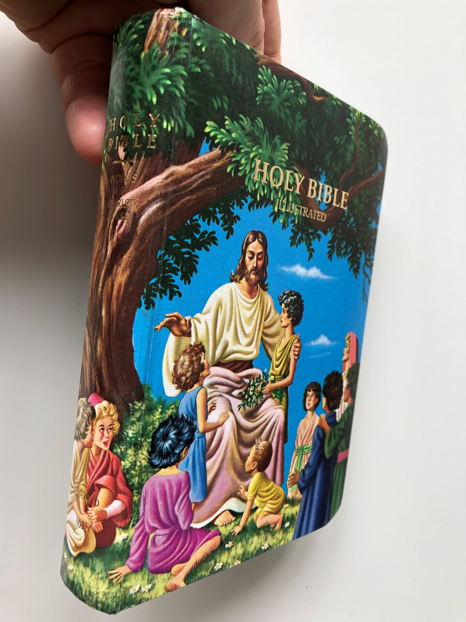 Illustrated Holy Bible KJV with a Child's introduction to the Bible by