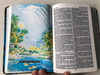 Illustrated Holy Bible KJV with a Child's introduction to the Bible by Charles C. Ryrie / Christ's words in RED, Book introductions, Young reader's concodance & dictionary / Spiritual Memory Gems (IllustratedKJVBible)