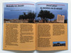 Jezusi - shpresa jonë e vetme e vërtetë / Albanian edition of Jesus Our Only Real Hope / GBV 14456 / Gute Botschaft Verlag / Paperback (9783866984820)