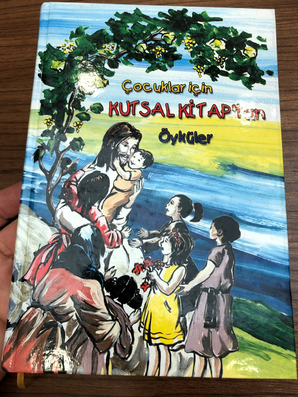 Turkish Children S Bible Cocuklar Icin Kutsal Kitap Tan Oykuler Hardcover