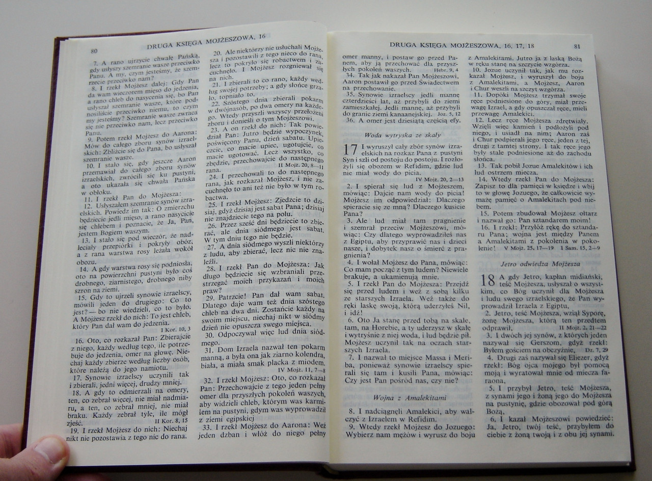 Standard Size Polish Bible: Old and New Testaments, Burgundy Vinyl  Softcover / Pismo Swiete - Biblia Polska: Starego i Nowego Testamentu -  bibleinmylanguage