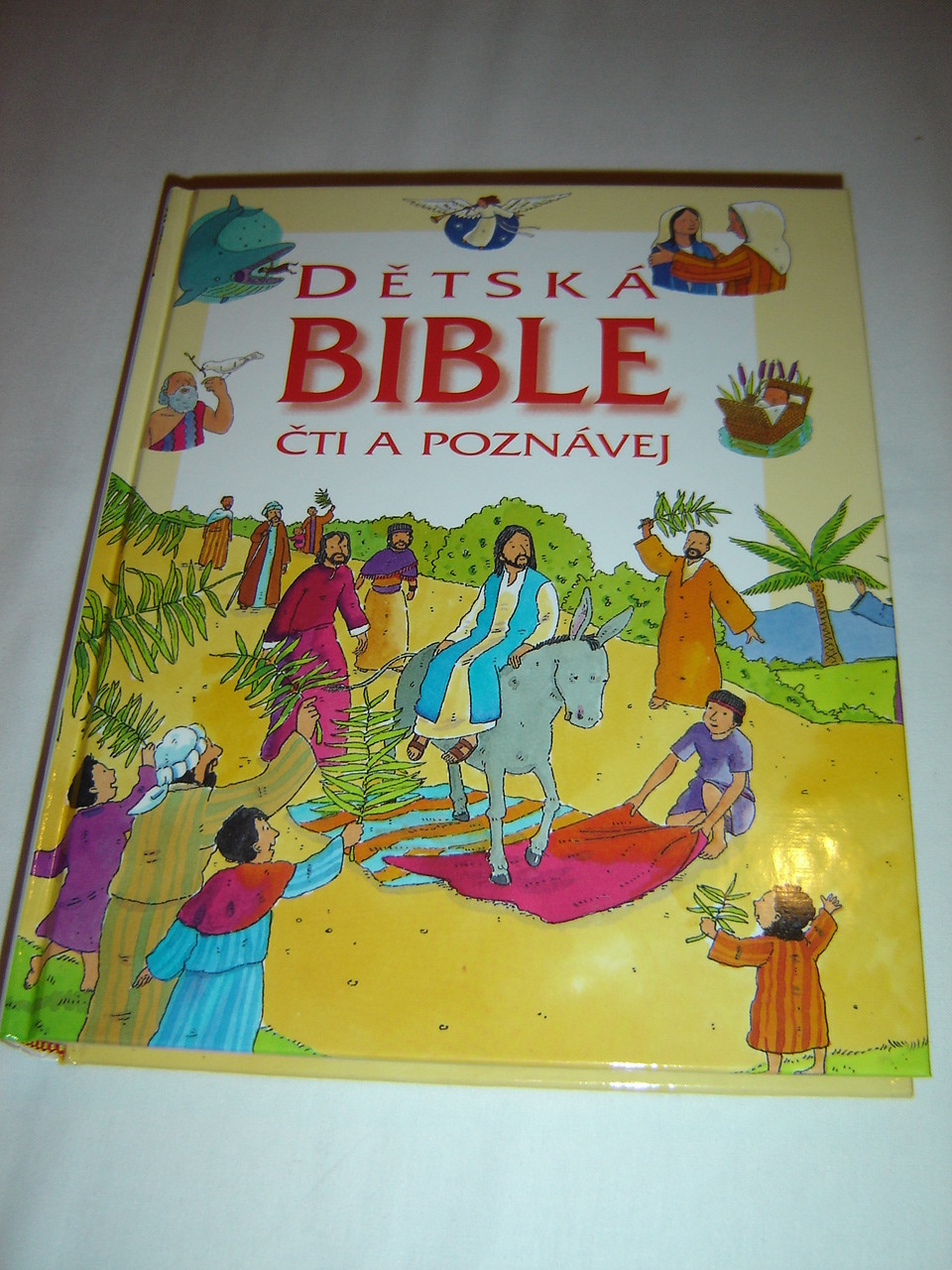 Czech Children's Bible / The Lion Read and Know Bible in Czech Language / Detska  Bible Cti A Poznavej - bibleinmylanguage