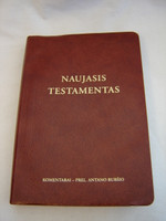 The New Testament in Lithuanian Language / Naujasis Testamentas / Kommentarai - Prel. Antano Rubsio