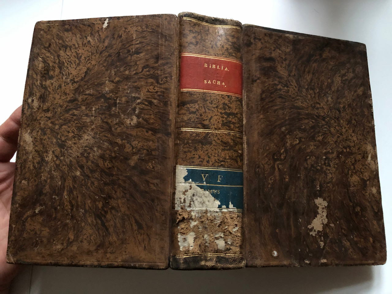 https://cdn10.bigcommerce.com/s-62bdpkt7pb/products/55355/images/277794/1_Biblia_Sacra_Veteris_Foederis_Cum_Notis_Exegeticis_-_Tomus_IV._Budae_1827_12__38987.1687424259.1280.1280.JPG?c=2&_gl=1*1lwww26*_ga*MjAyOTE0ODY1OS4xNTkyNDY2ODc5*_ga_WS2VZYPC6G*MTY4NzQzOTMwOC4zMzkxLjEuMTY4NzQ0Njc2MC42MC4wLjA.